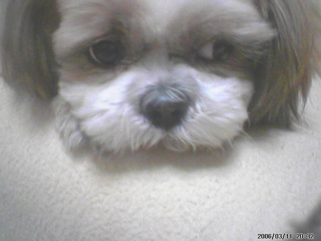 줌마와미남이..