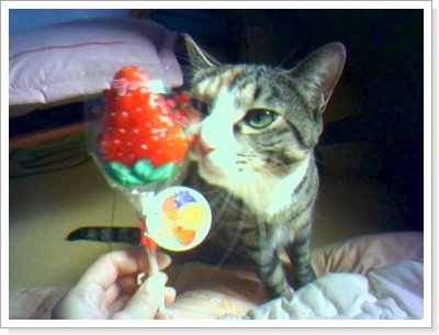 정말 오랜 만입니다..