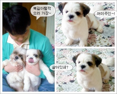 아..오랜만입니당 히히