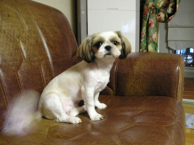 나도 잘있어요.