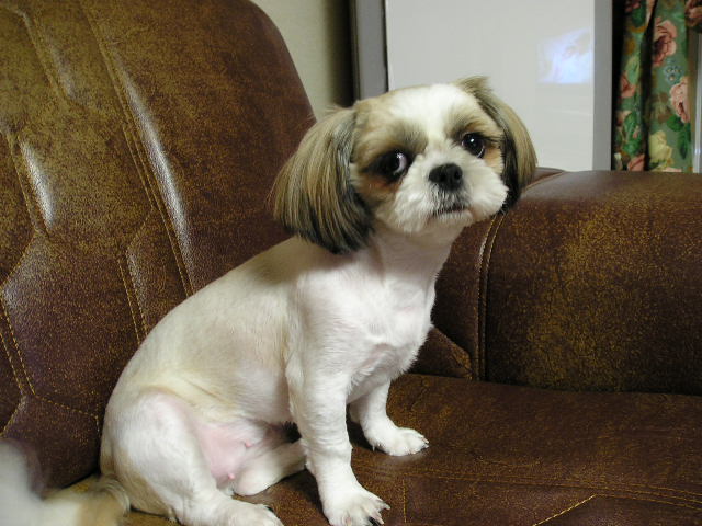 나도 잘있어요.