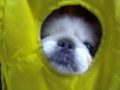 사랑이랑행복이랑.ㅋ