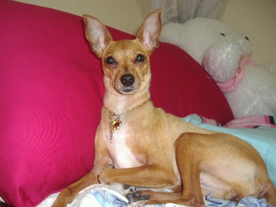 사랑이랑행복이랑.ㅋ