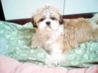 오랜 만에 들러요......