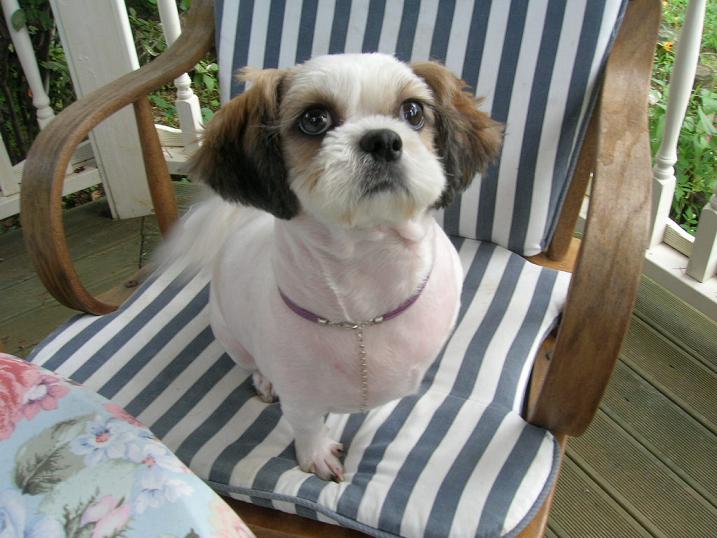 오랜 만에 들러요......