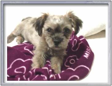 첫 아이 입양했습니다.