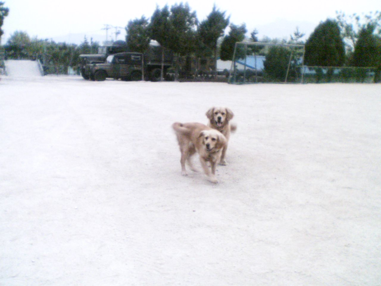 노랑이 초록이 사진입니다./