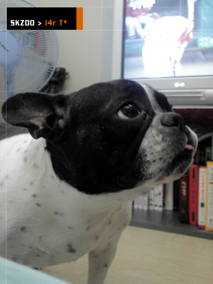 몇달만인지.....부리 인사드립니다.