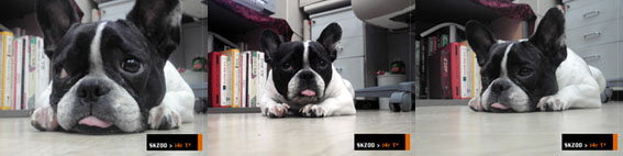 여친 대신해서 부리사진 대신 올려요.