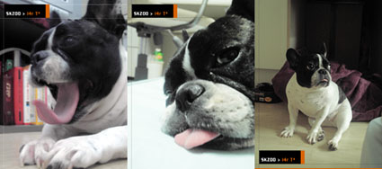 여친 대신해서 부리사진 대신 올려요.