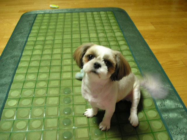 오랜만에 올리는 사진! 순간이동!