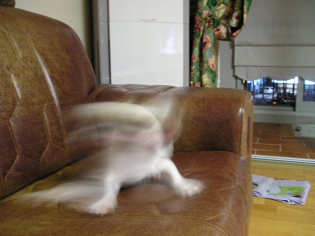 오랜만에 올리는 사진! 순간이동!