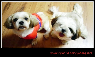 오랜만에 와서...슬픈소식전하네요