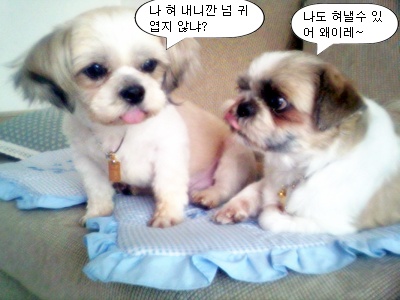 오랜만에 와서...슬픈소식전하네요