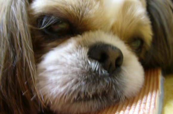 보고파요 흑흑흑