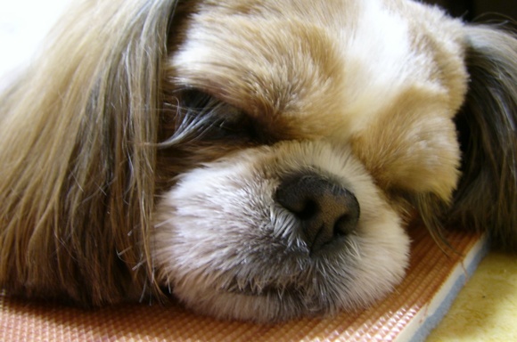 보고파요 흑흑흑