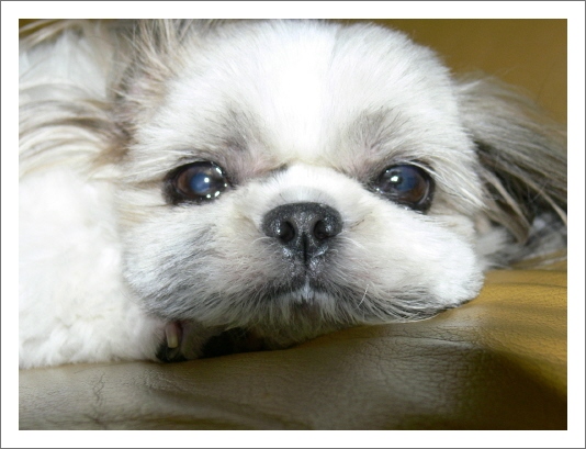 물렸어요.. ㅠ.ㅠ