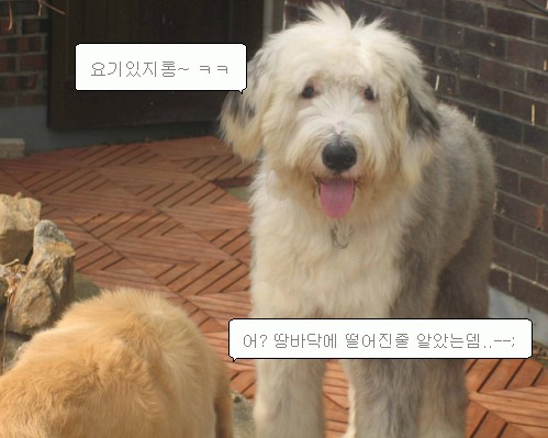 먼지의 까꿍놀이 ㅎㅎ