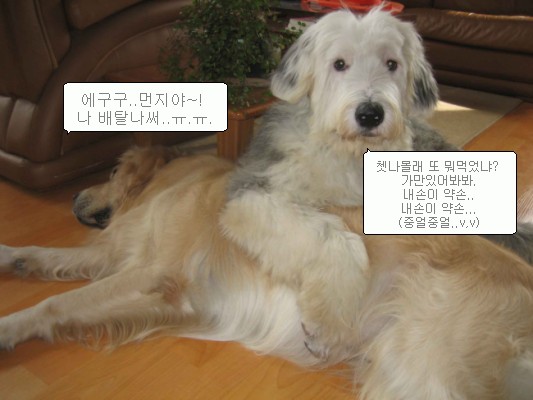 먼지의 병원놀이 ^ㅍ^