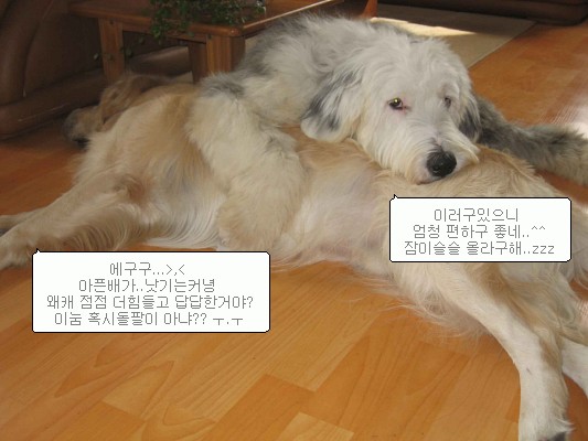 먼지의 병원놀이 ^ㅍ^