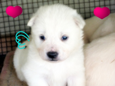 울아가들 눈떴어여^^