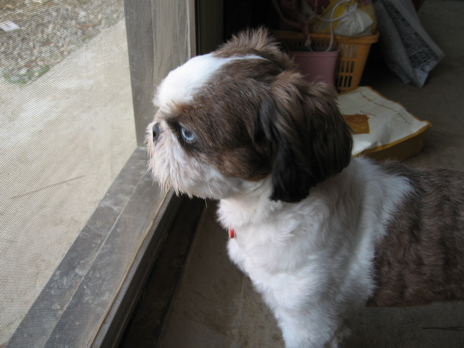 덤으로 울\"아이\"사진하나^^