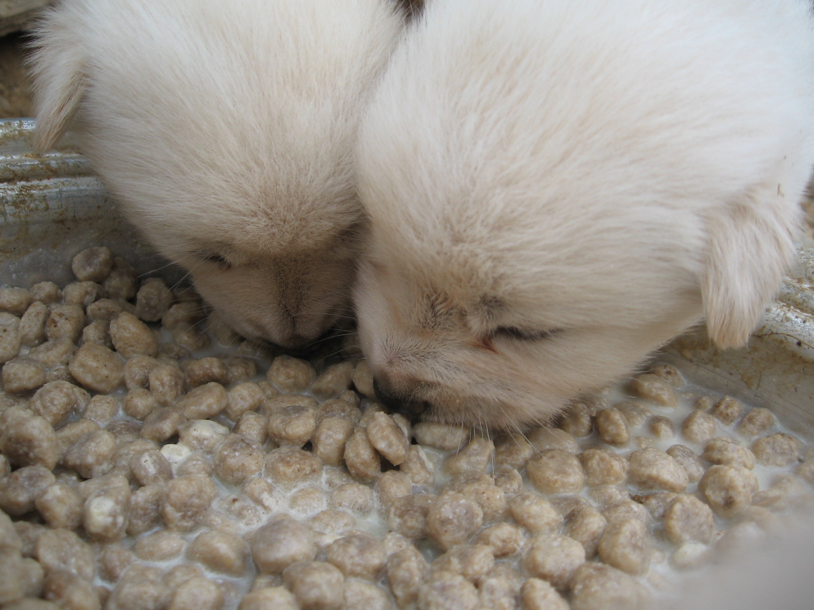 울아가들 이젠 맘마먹어요^^