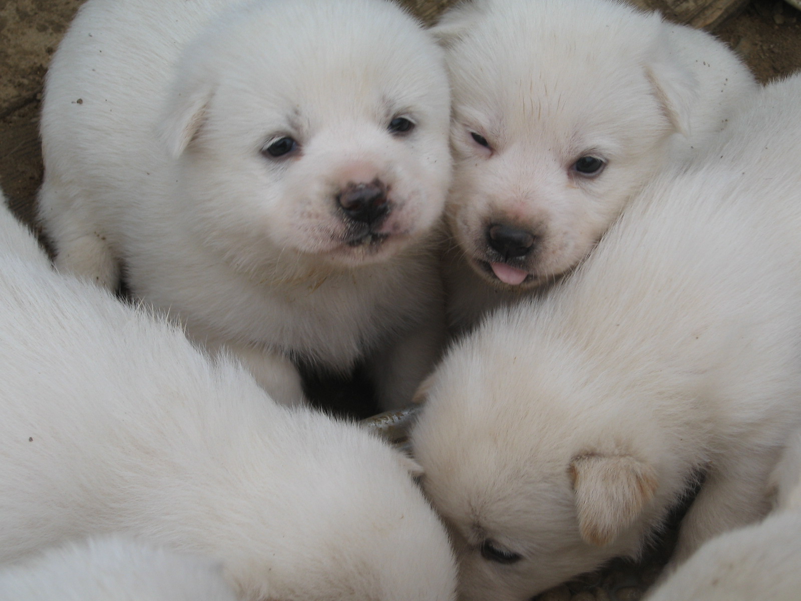 울아가들 이젠 맘마먹어요^^