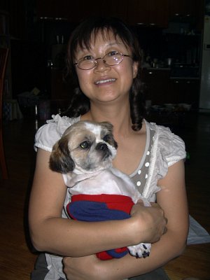 시츄 동원이가 입양갔습니다~