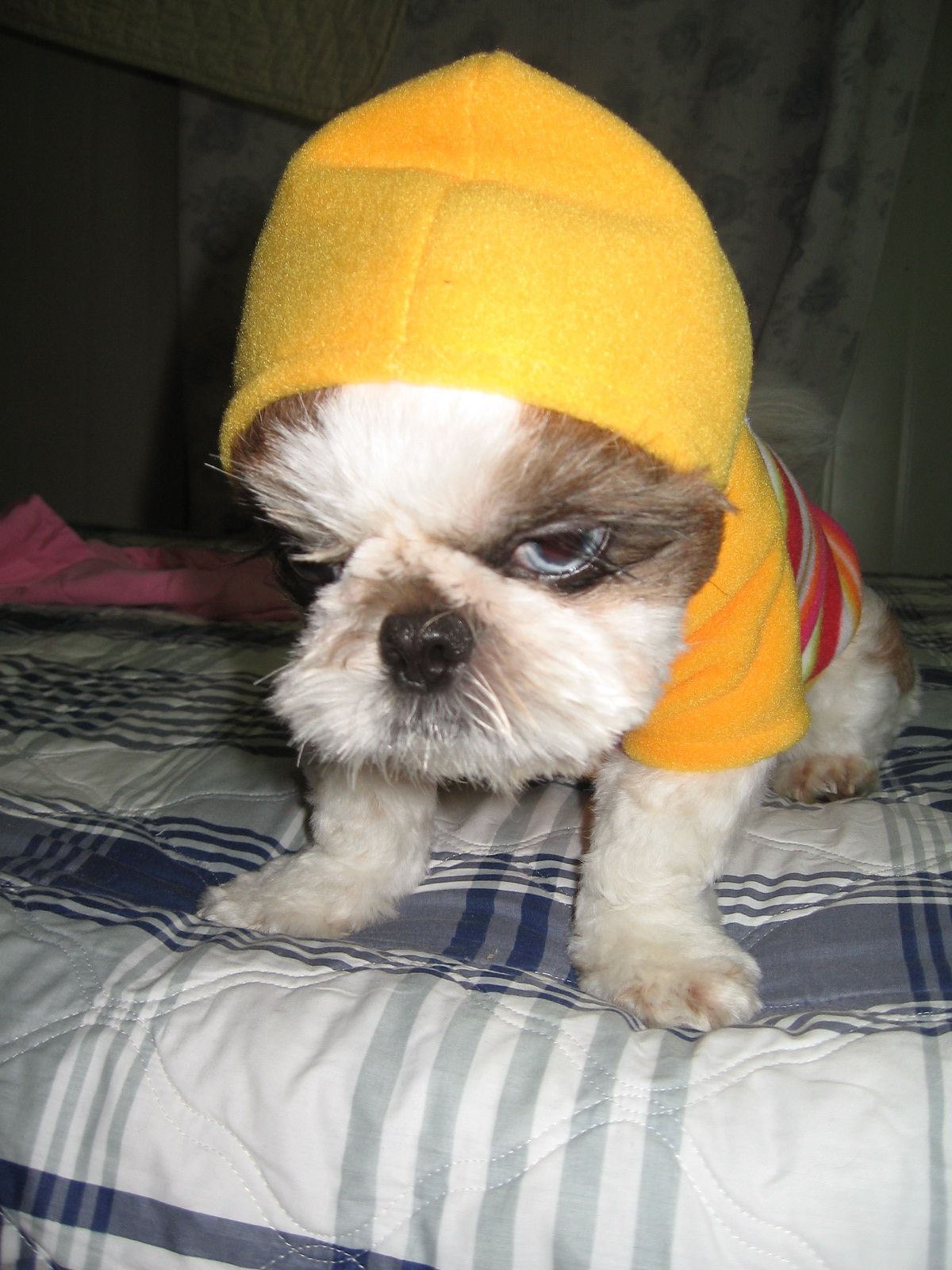 오랜만에\"아이\"소식 전합니당^^