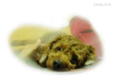 [re] 테디엄마 입니다^^*