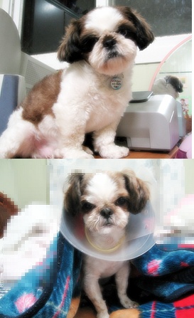 형과동생*^^*(김아이.아랑이)