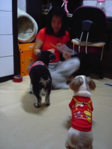 우주 입양가던 날~*^^*