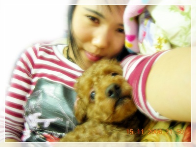 [re] 강숙경님 테디 사진 올려요~