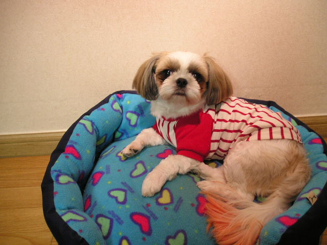 원조얼짱 인사합니다