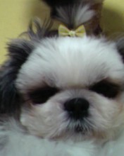 우주 언니에요^^;