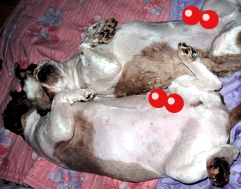 아이.아랑이*^^*