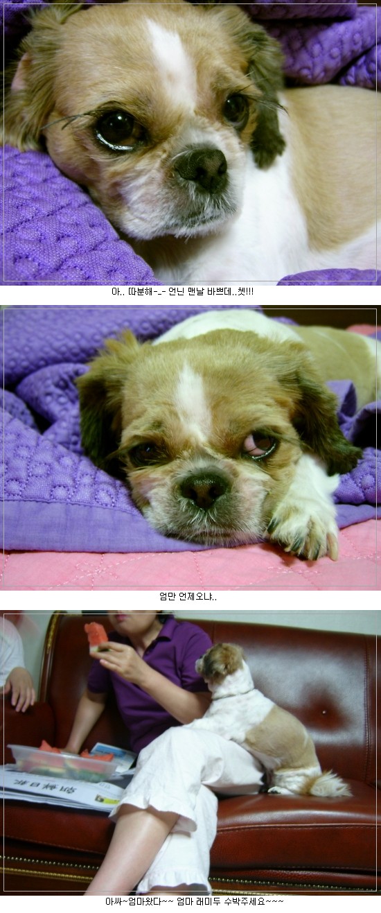 래미