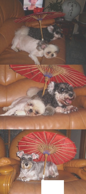 안녕하세요 가족과 함께 문경에 다녀왔어요^^