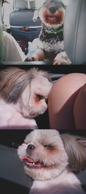 사진이 많고 많이 보여드리고 싶은 마음에^^