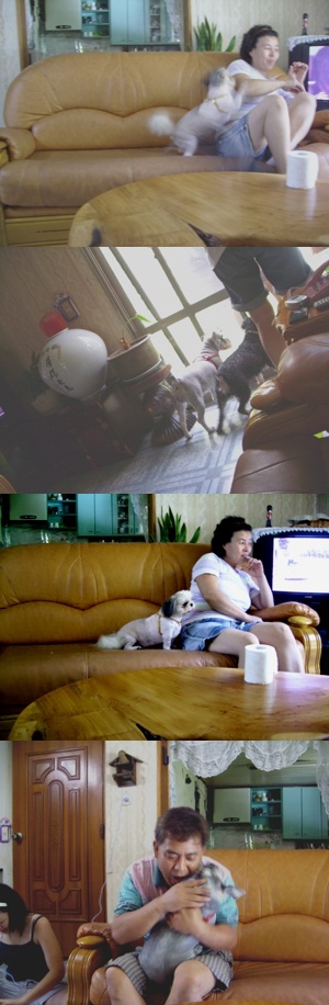 마지막으로 ~ 보너스!