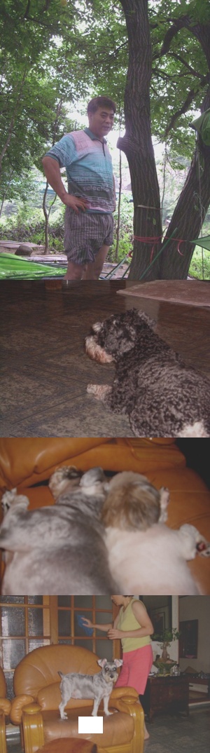 마지막으로 ~ 보너스!