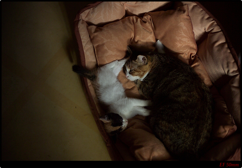 [은비이야기] 잘자라 우리아가~