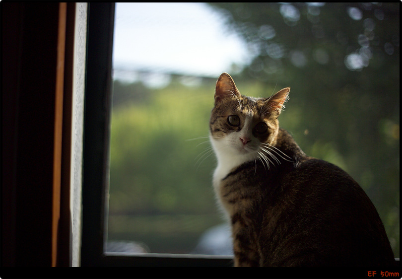 [은비이야기] - \'응 ? \'