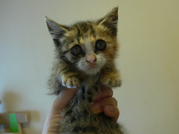 은비 옛날 사진-  \'굴욕\'