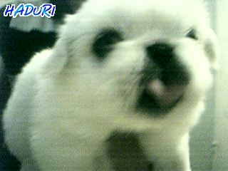 새신발신고 나들이~^^*