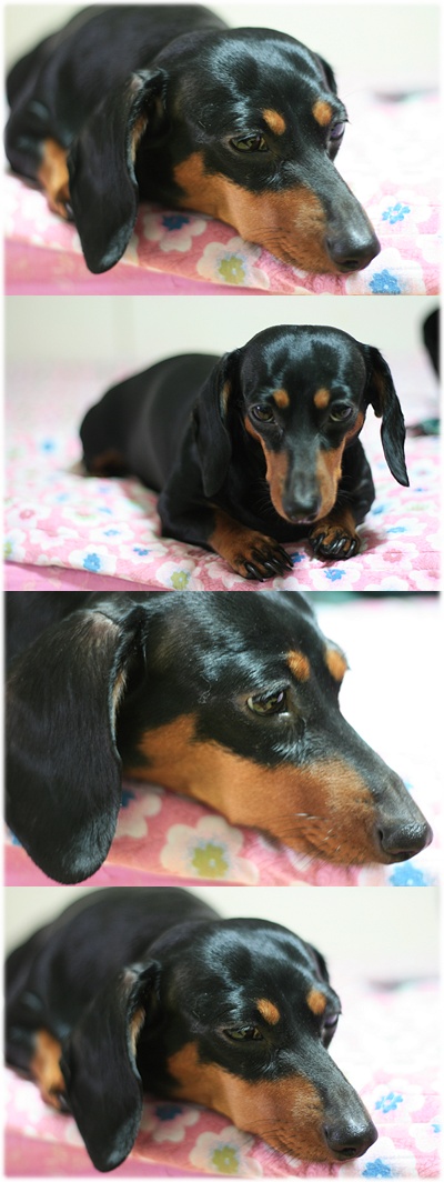 영수니 사진..ㅋㅋ