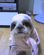 잘~생긴 아이.아랑형제