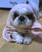 잘~생긴 아이.아랑형제