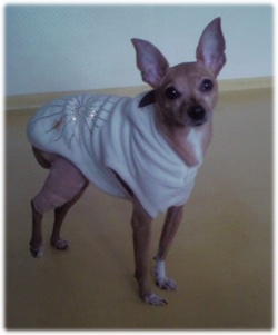 안녕하세요 사랑이언니예요~^^